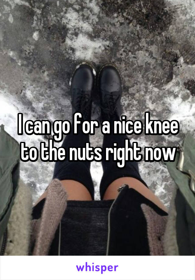 I can go for a nice knee to the nuts right now