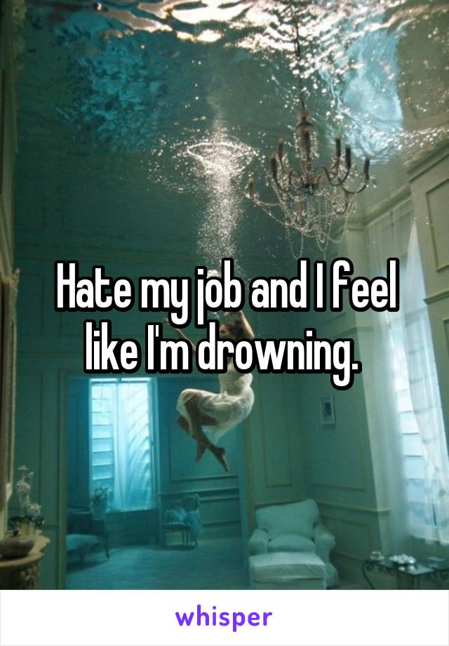 Hate my job and I feel like I'm drowning. 