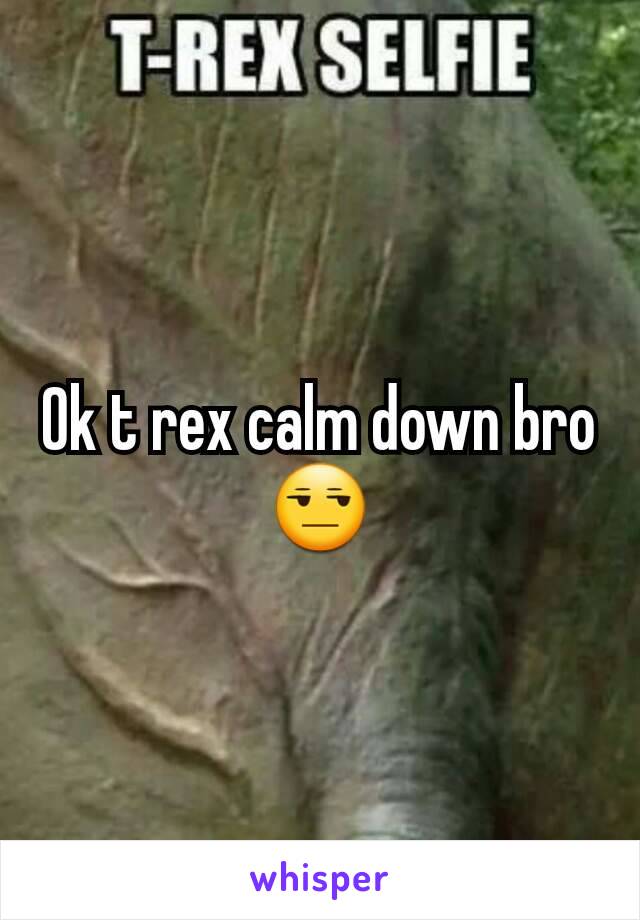 Ok t rex calm down bro 😒