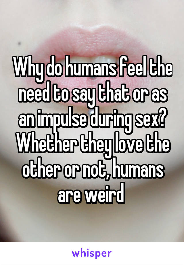 Why do humans feel the need to say that or as an impulse during sex? Whether they love the other or not, humans are weird 