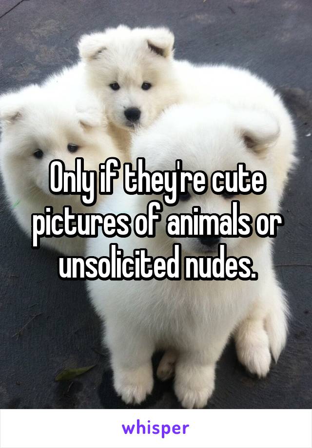 Only if they're cute pictures of animals or unsolicited nudes.