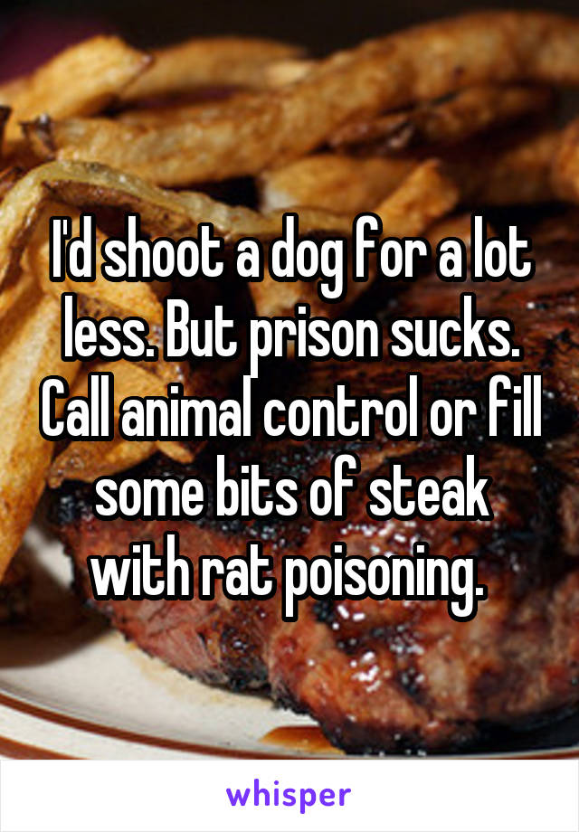 I'd shoot a dog for a lot less. But prison sucks. Call animal control or fill some bits of steak with rat poisoning. 