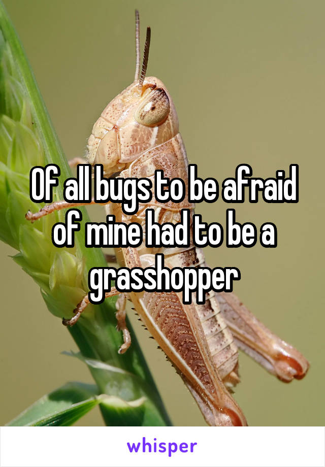 Of all bugs to be afraid of mine had to be a grasshopper