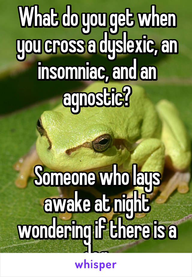 What do you get when you cross a dyslexic, an insomniac, and an agnostic?


Someone who lays awake at night wondering if there is a dog.