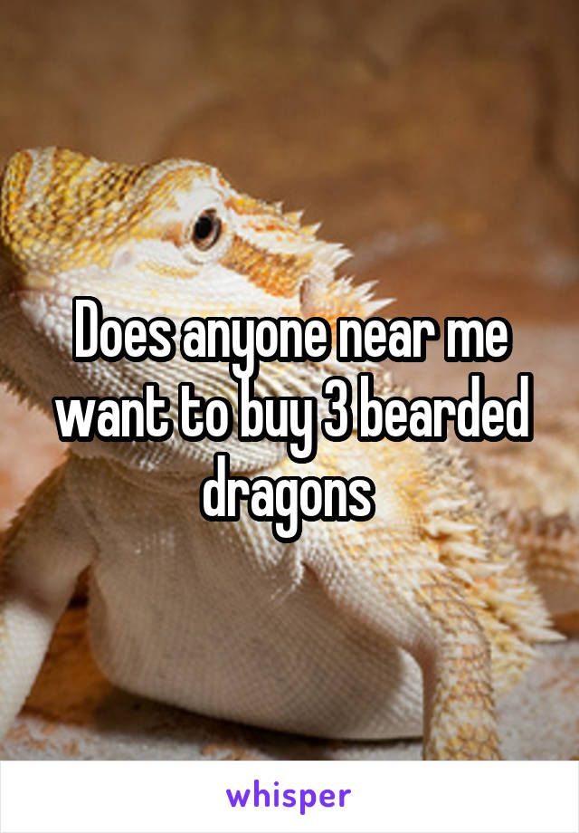 Does anyone near me want to buy 3 bearded dragons 