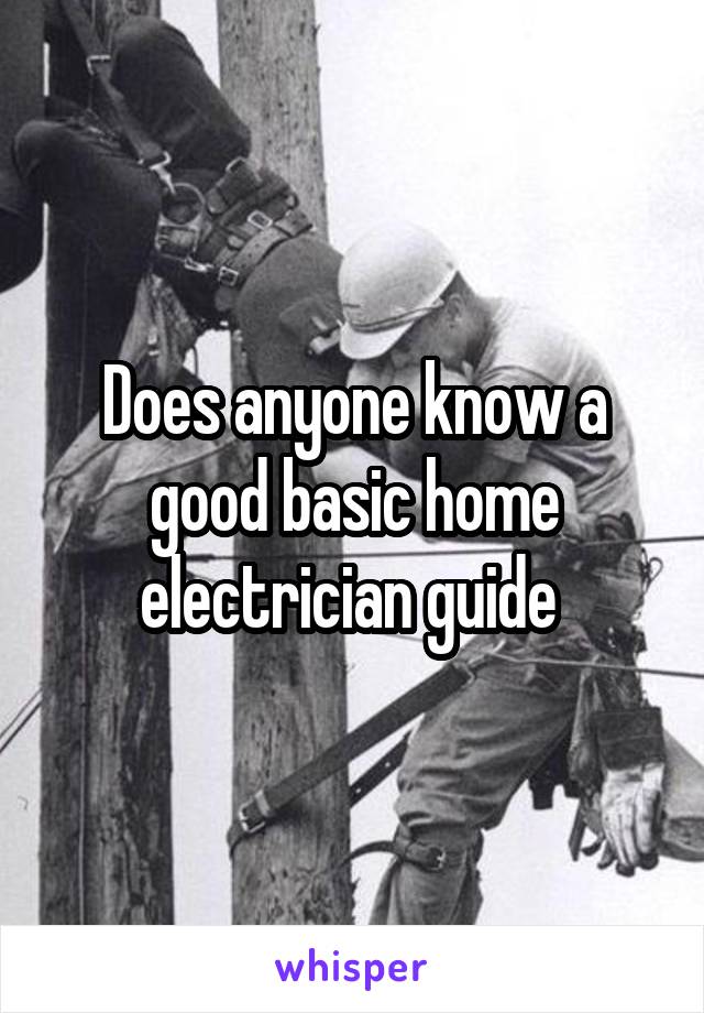 Does anyone know a good basic home electrician guide 