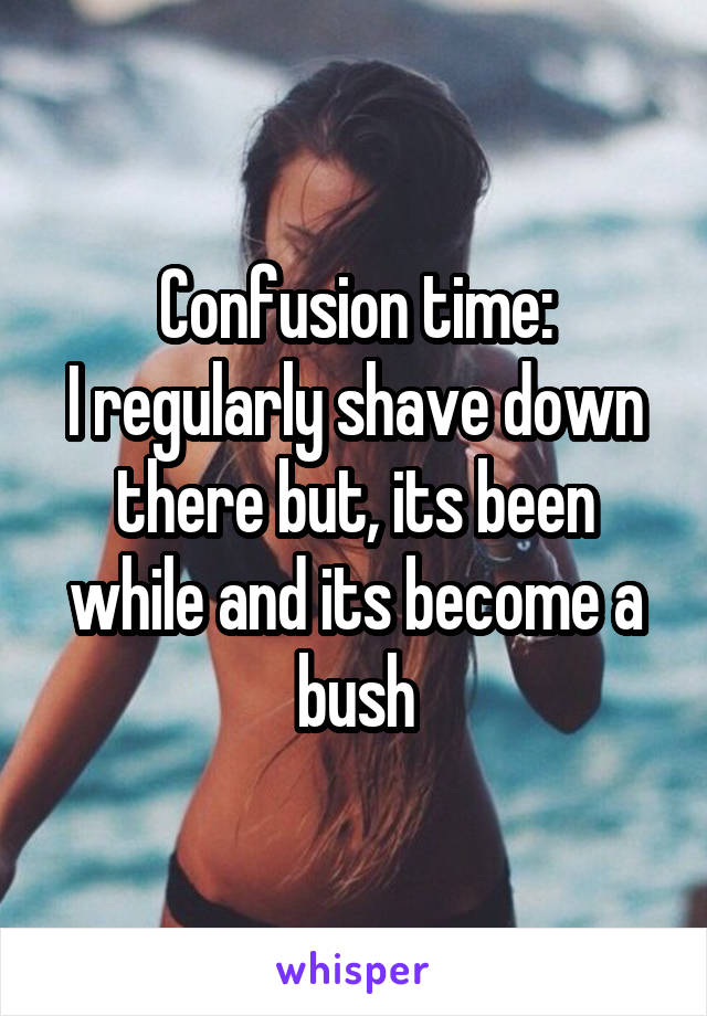 Confusion time:
I regularly shave down there but, its been while and its become a bush