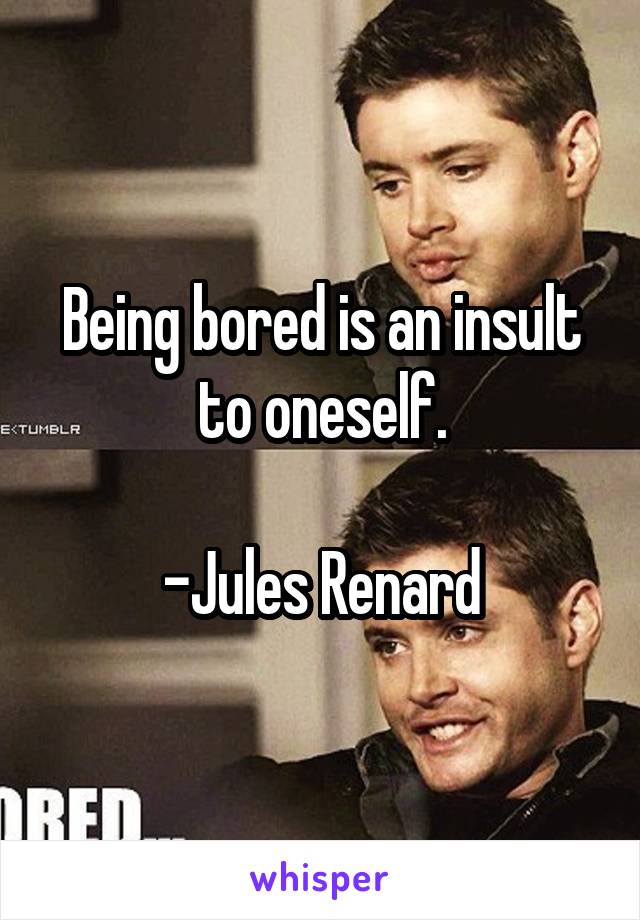 Being bored is an insult to oneself.

-Jules Renard