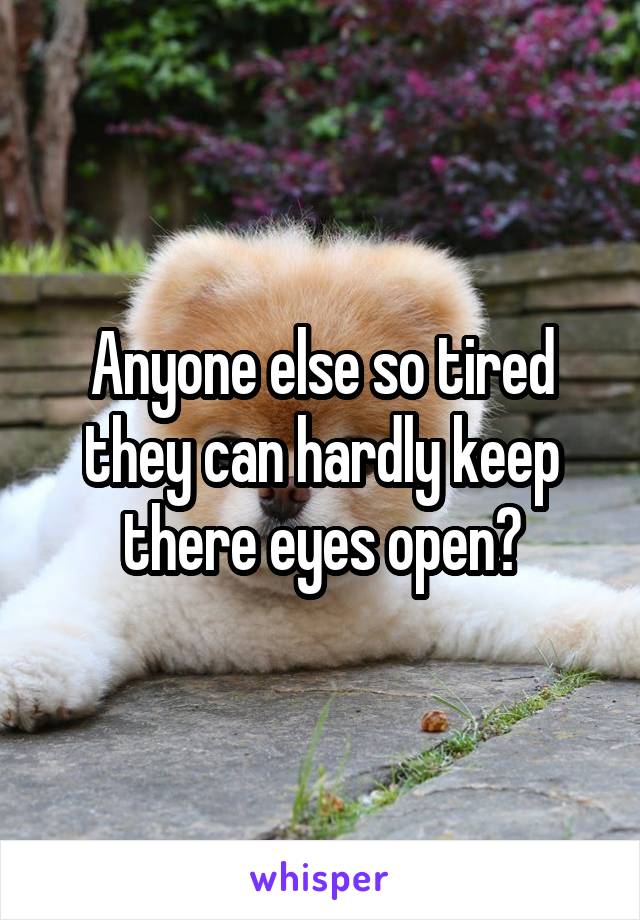 Anyone else so tired they can hardly keep there eyes open?