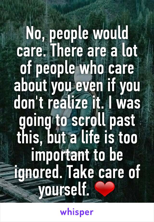 No, people would care. There are a lot of people who care about you even if you don't realize it. I was going to scroll past this, but a life is too important to be ignored. Take care of yourself. ❤