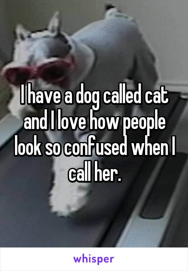 I have a dog called cat and I love how people look so confused when I call her.