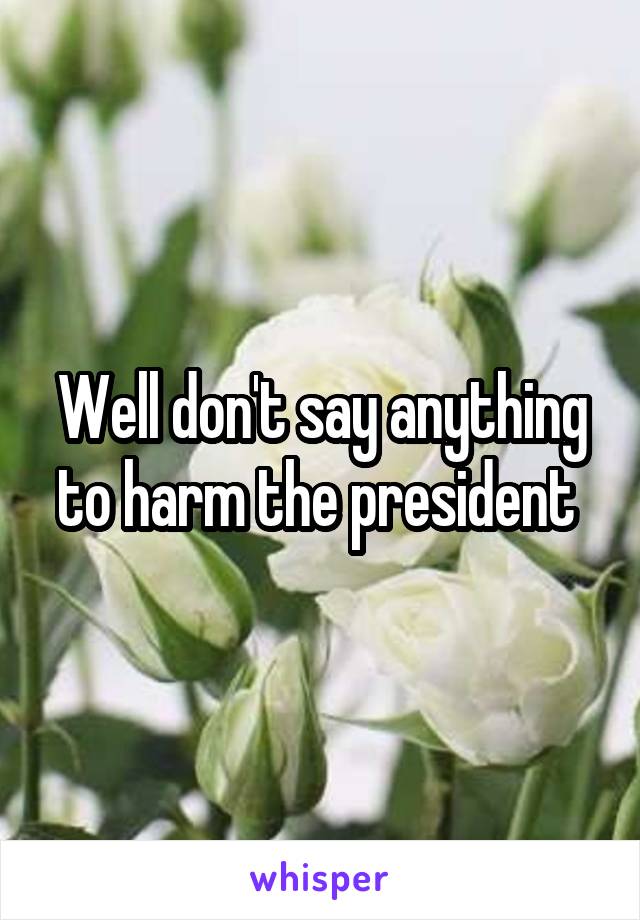 Well don't say anything to harm the president 
