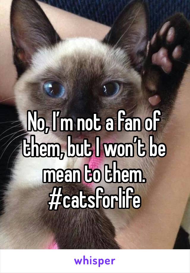 No, I’m not a fan of them, but I won’t be mean to them. #catsforlife