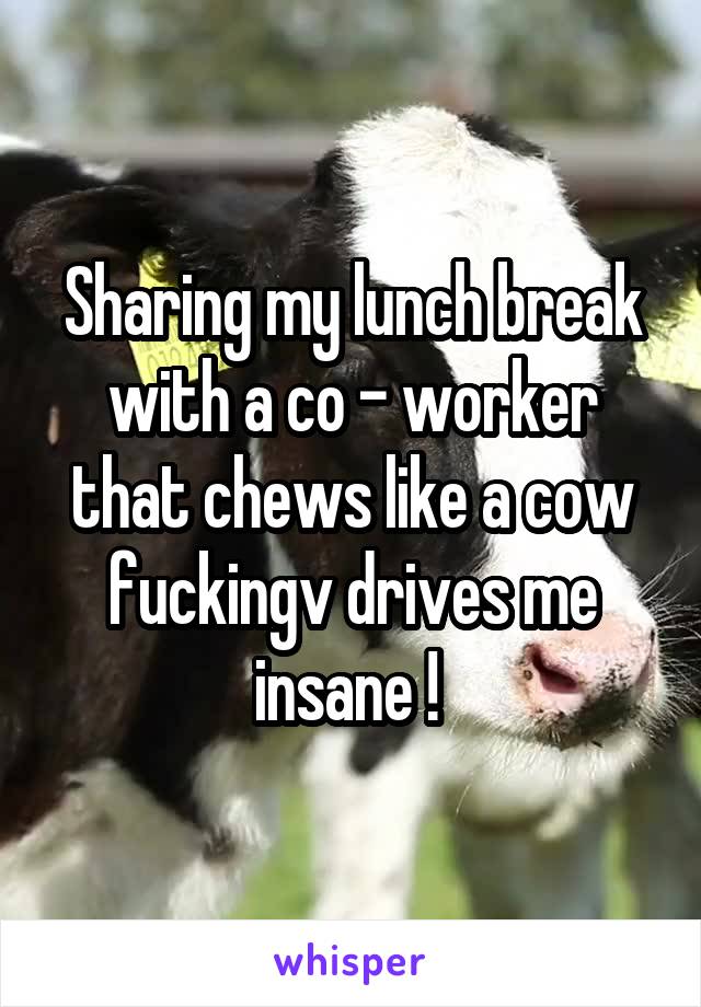 Sharing my lunch break with a co - worker that chews like a cow fuckingv drives me insane ! 