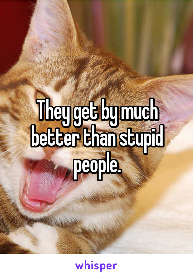 They get by much better than stupid people.