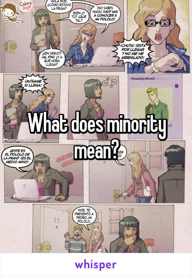 What does minority mean?