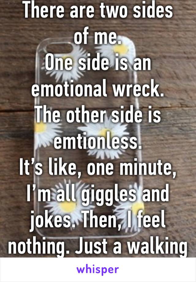 There are two sides of me. 
One side is an emotional wreck. 
The other side is emtionless. 
It’s like, one minute, I’m all giggles and jokes. Then, I feel nothing. Just a walking talking shell 
