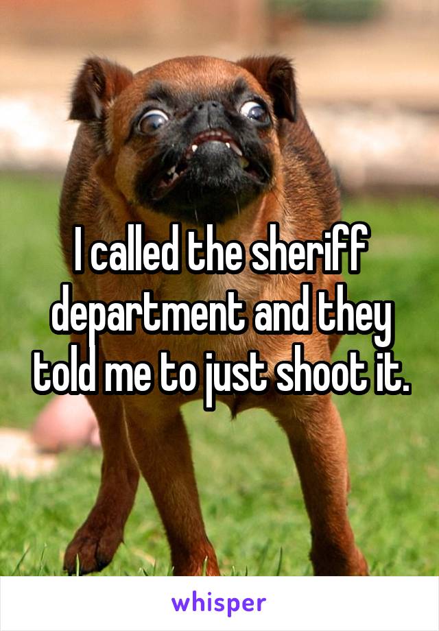 I called the sheriff department and they told me to just shoot it.