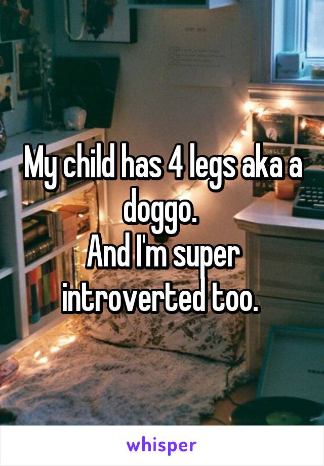 My child has 4 legs aka a doggo. 
And I'm super introverted too. 