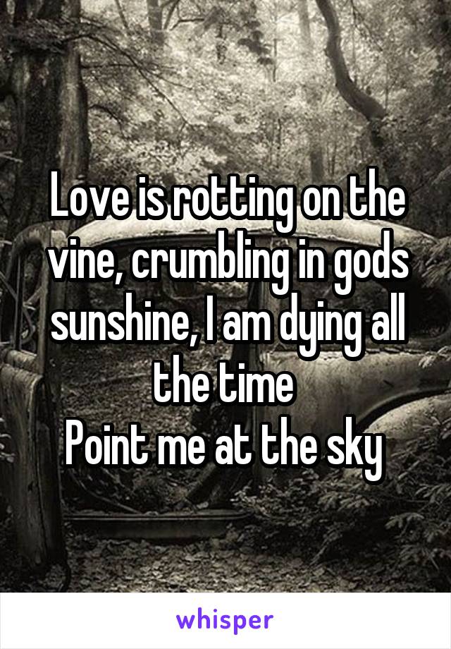 Love is rotting on the vine, crumbling in gods sunshine, I am dying all the time 
Point me at the sky 
