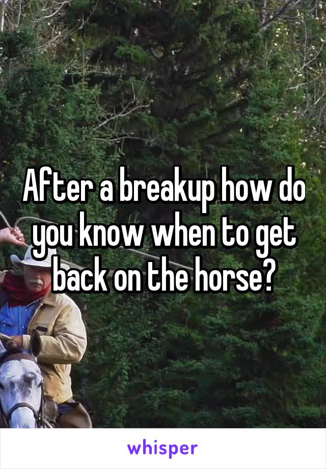 After a breakup how do you know when to get back on the horse?
