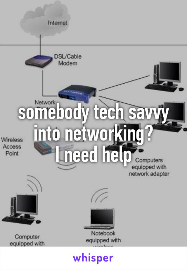 somebody tech savvy into networking?
I need help