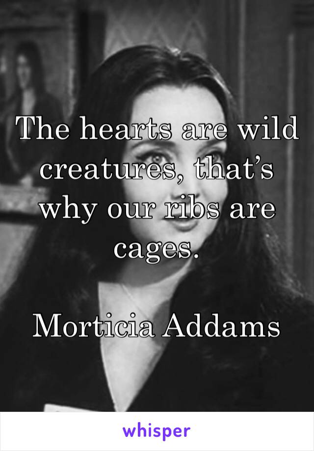 The hearts are wild creatures, that’s why our ribs are cages.

Morticia Addams