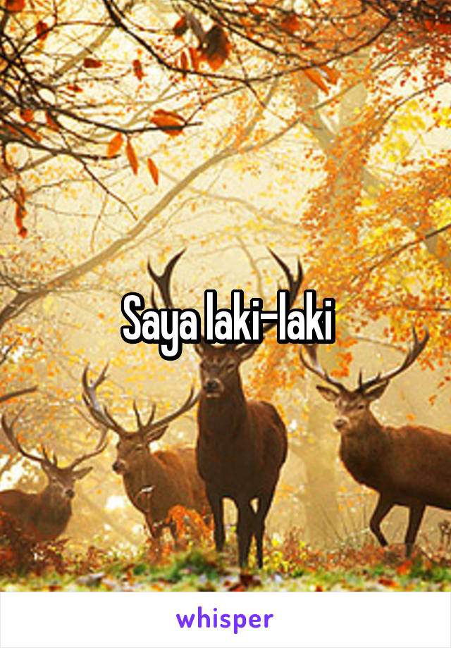 Saya laki-laki