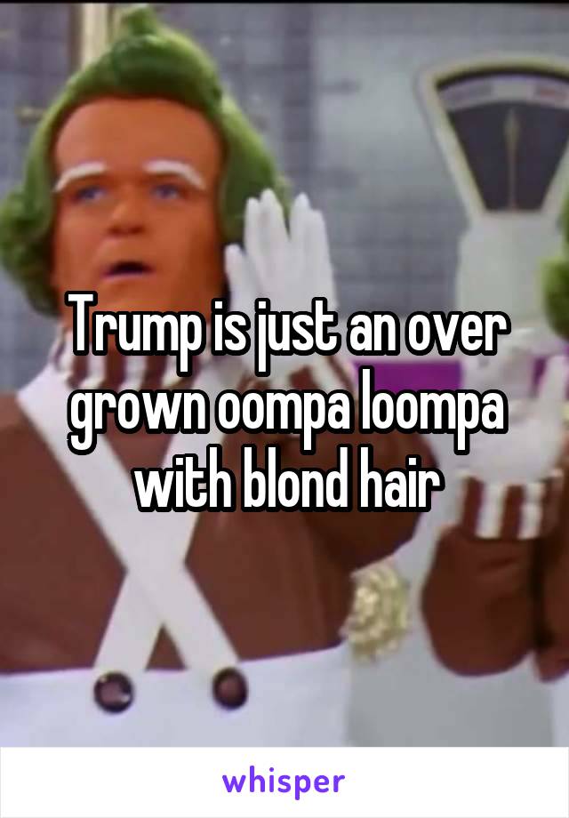 Trump is just an over grown oompa loompa with blond hair