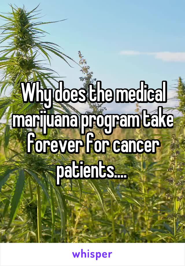 Why does the medical marijuana program take forever for cancer patients.... 