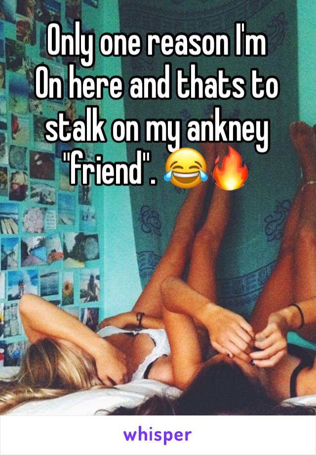Only one reason I'm
On here and thats to stalk on my ankney "friend". 😂🔥