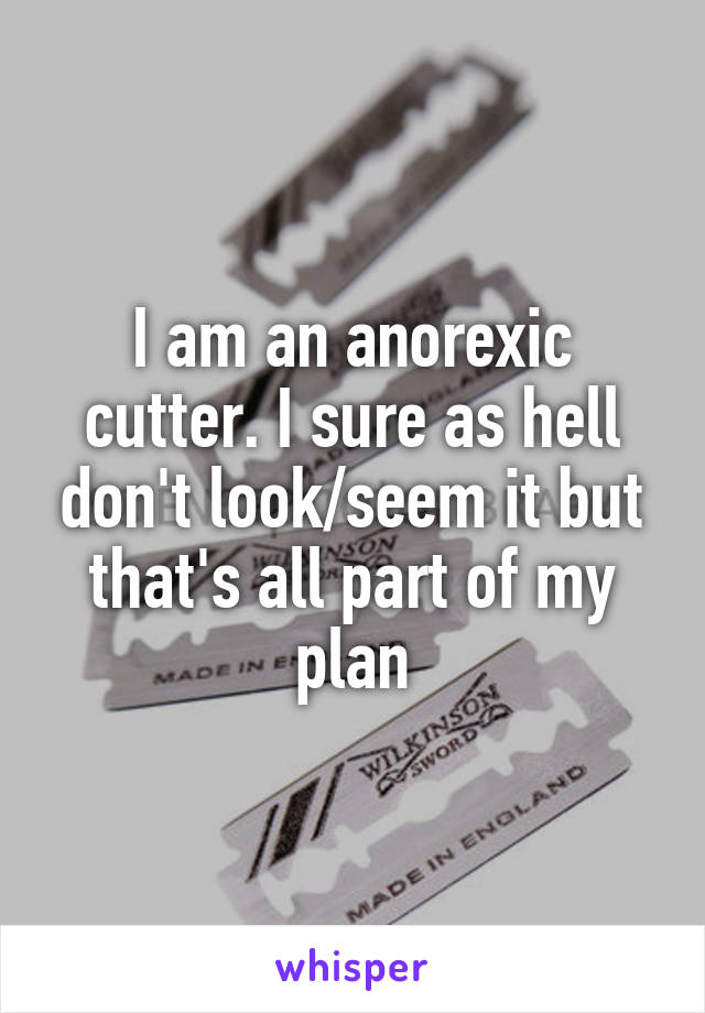 I am an anorexic cutter. I sure as hell don't look/seem it but that's all part of my plan