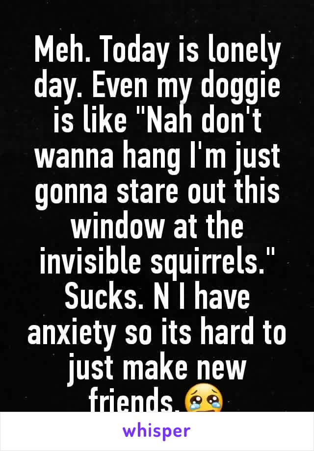 Meh. Today is lonely day. Even my doggie is like "Nah don't wanna hang I'm just gonna stare out this window at the invisible squirrels." Sucks. N I have anxiety so its hard to just make new friends.😢