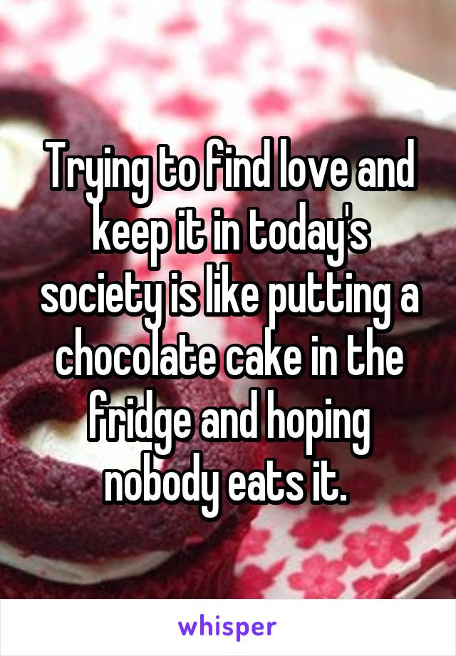 Trying to find love and keep it in today's society is like putting a chocolate cake in the fridge and hoping nobody eats it. 