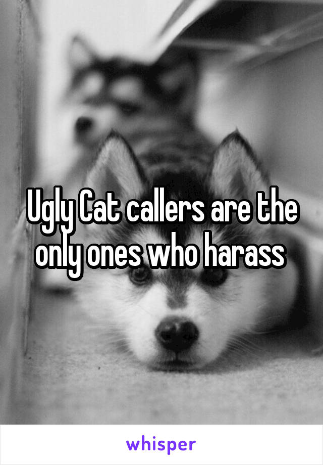 Ugly Cat callers are the only ones who harass 