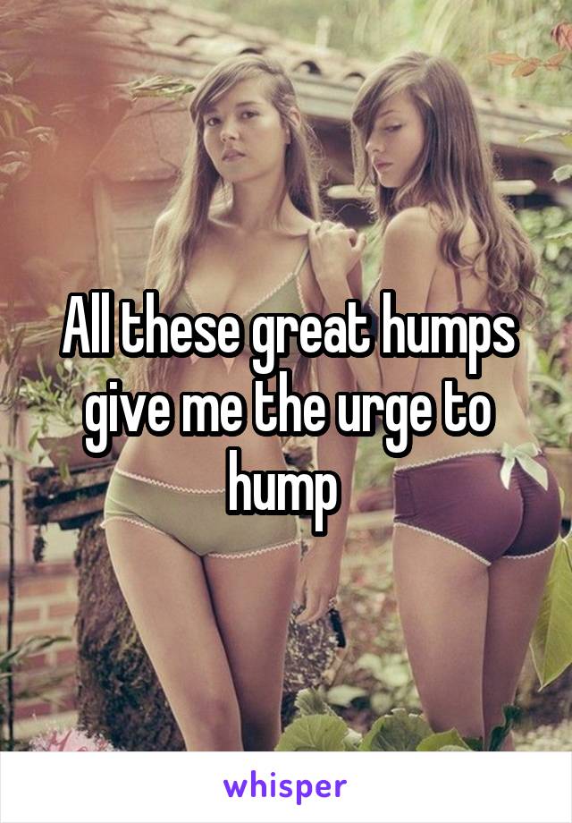 All these great humps give me the urge to hump 