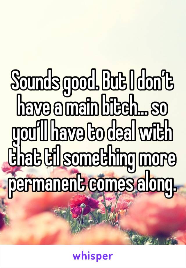 Sounds good. But I don’t have a main bitch... so you’ll have to deal with that til something more permanent comes along. 