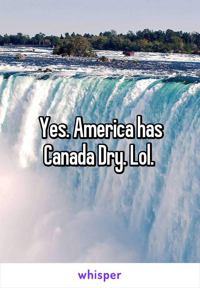 Yes. America has Canada Dry. Lol. 