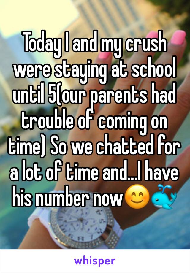 Today I and my crush were staying at school until 5(our parents had trouble of coming on time) So we chatted for a lot of time and...I have his number now😊🐳