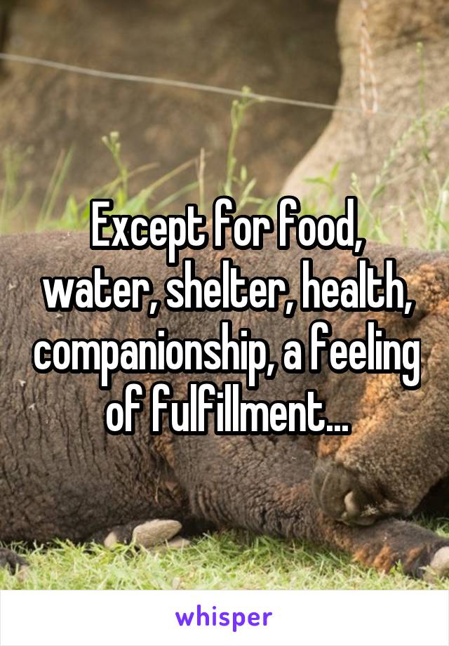 Except for food, water, shelter, health, companionship, a feeling of fulfillment...