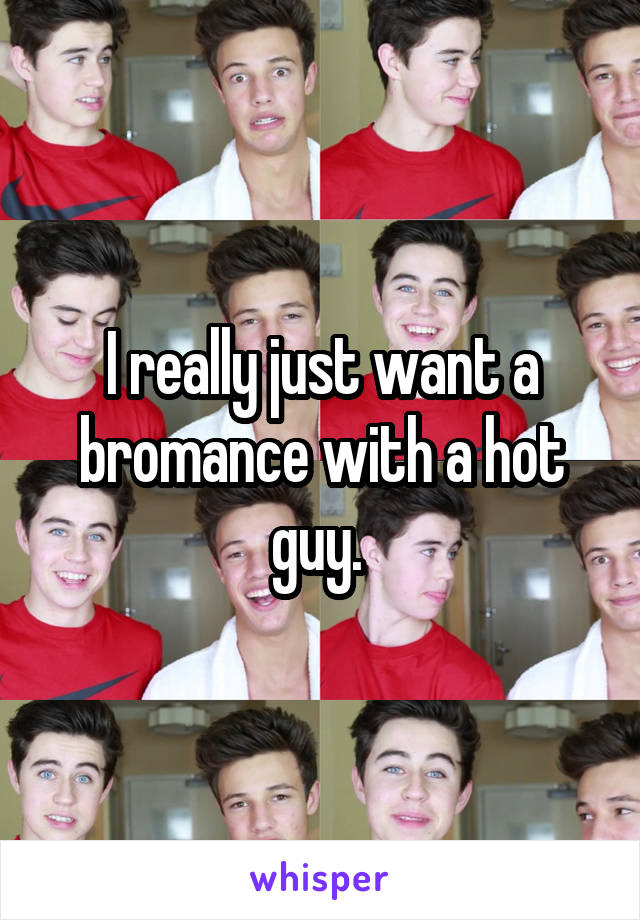 I really just want a bromance with a hot guy. 