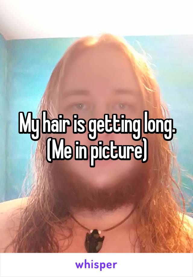 My hair is getting long.
(Me in picture)