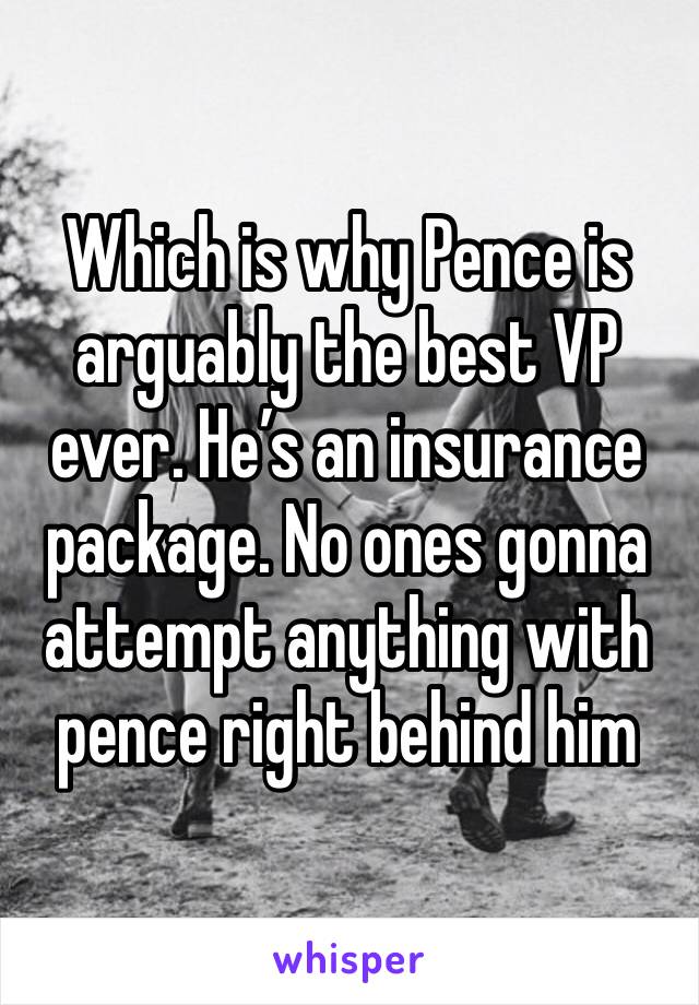 Which is why Pence is arguably the best VP ever. He’s an insurance package. No ones gonna attempt anything with pence right behind him 