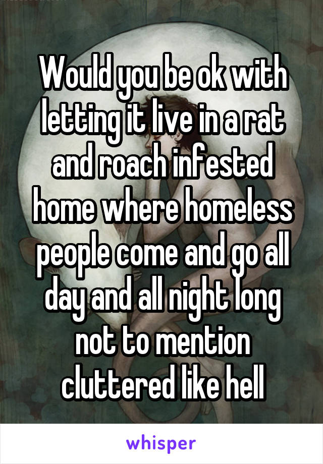 Would you be ok with letting it live in a rat and roach infested home where homeless people come and go all day and all night long not to mention cluttered like hell