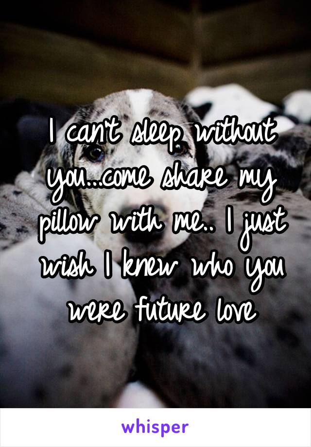 I can't sleep without you...come share my pillow with me.. I just wish I knew who you were future love