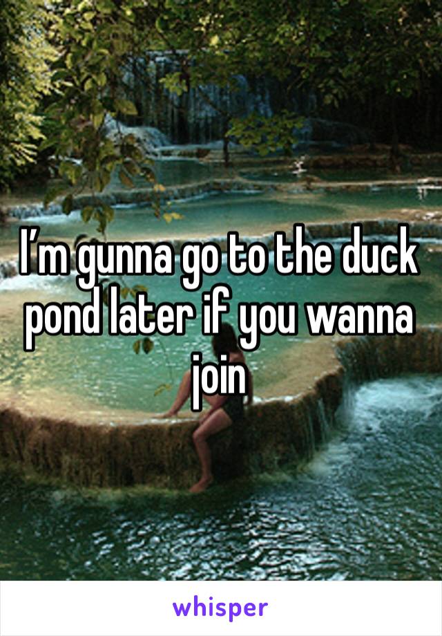 I’m gunna go to the duck pond later if you wanna join