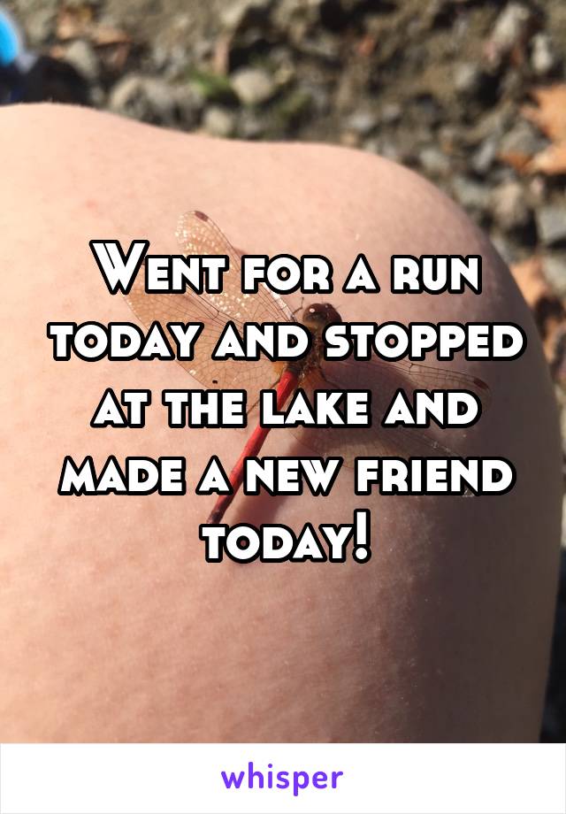 Went for a run today and stopped at the lake and made a new friend today!