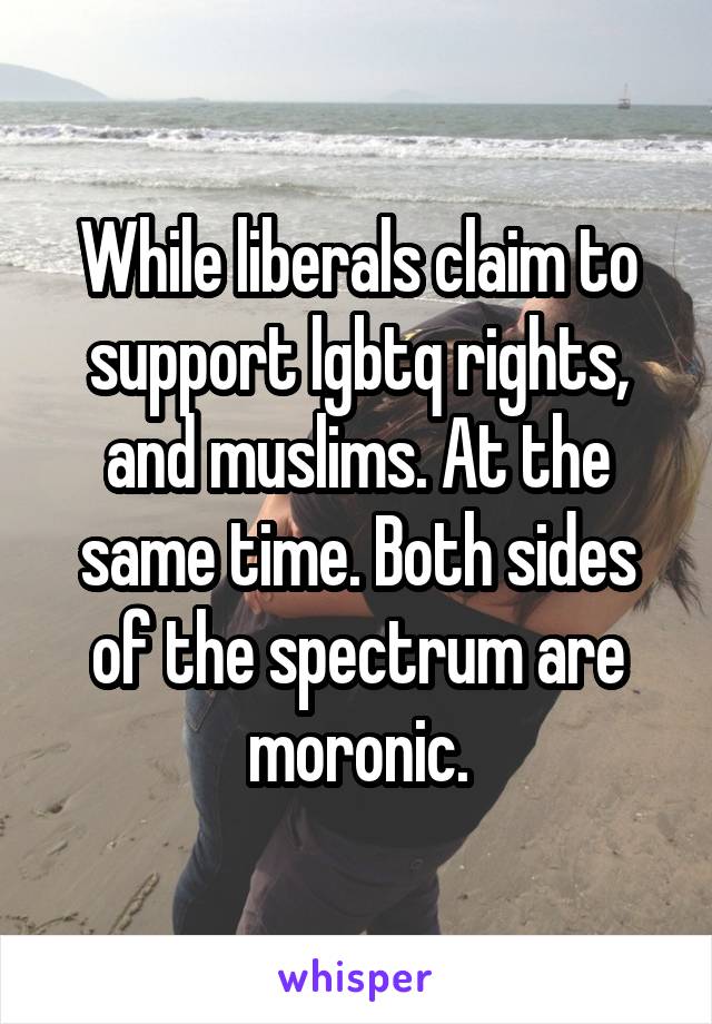 While liberals claim to support lgbtq rights, and muslims. At the same time. Both sides of the spectrum are moronic.