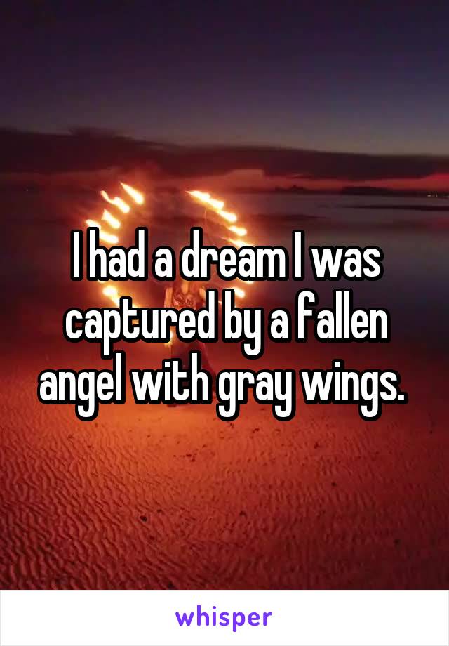 I had a dream I was captured by a fallen angel with gray wings. 