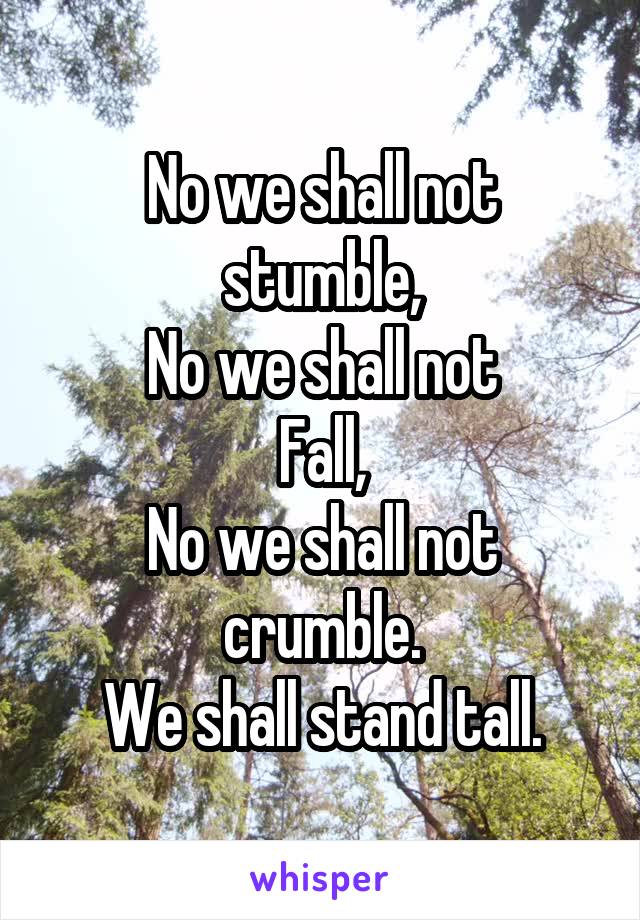 No we shall not stumble,
No we shall not
Fall,
No we shall not crumble.
We shall stand tall.